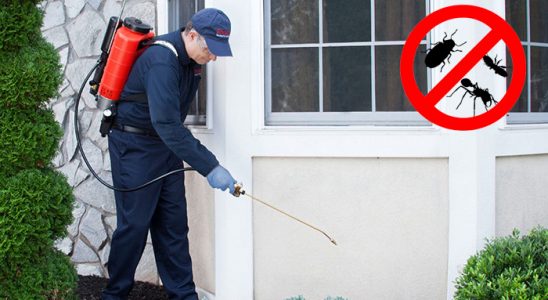 Güroymak Gümüşkurt İlaçlama böcek ilaçlama ve haşere kontrolü — ilaclama-tr.com